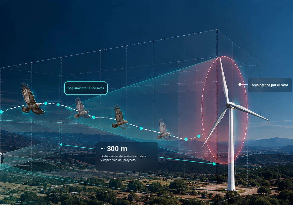 Visualización ilustrativa del seguimiento 3D de aves: trayectoria de vuelo seguida al aproximarse al área barrida por el rotor de un aerogenerador, con una distancia de decisión orientativa y específica del proyecto.
