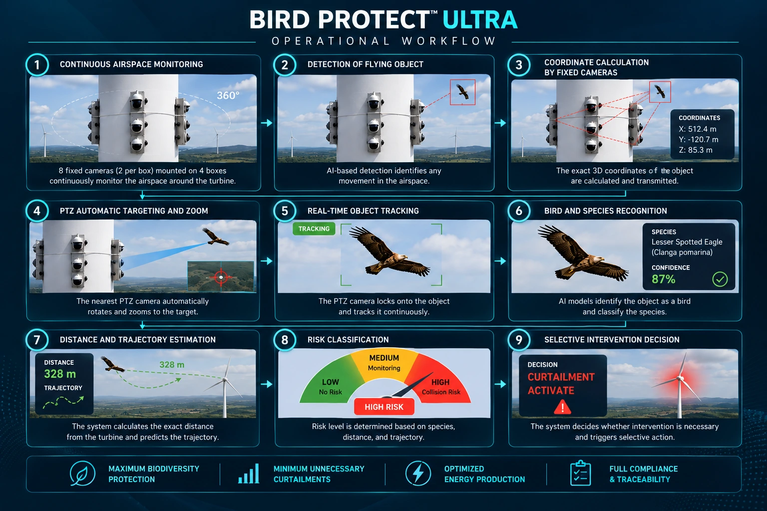 Bird Protect Ultra nine-step operational workflow showing AI bird detection, 3D positioning, PTZ tracking, species recognition, collision-risk assessment and selective turbine curtailment.